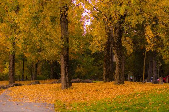 Wintler Community Park